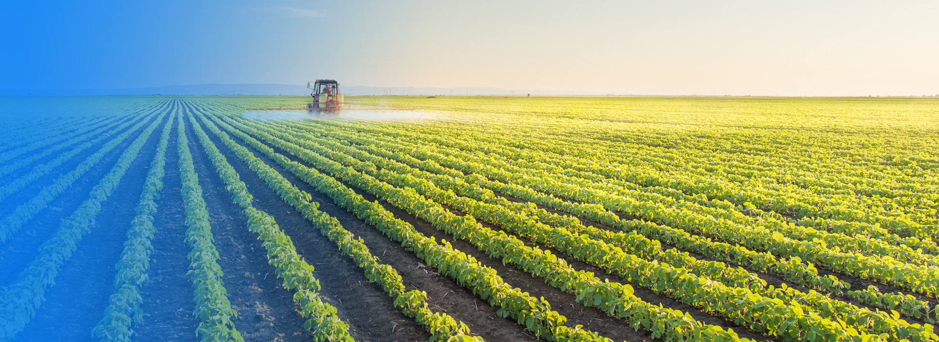 k8凯发农业公司